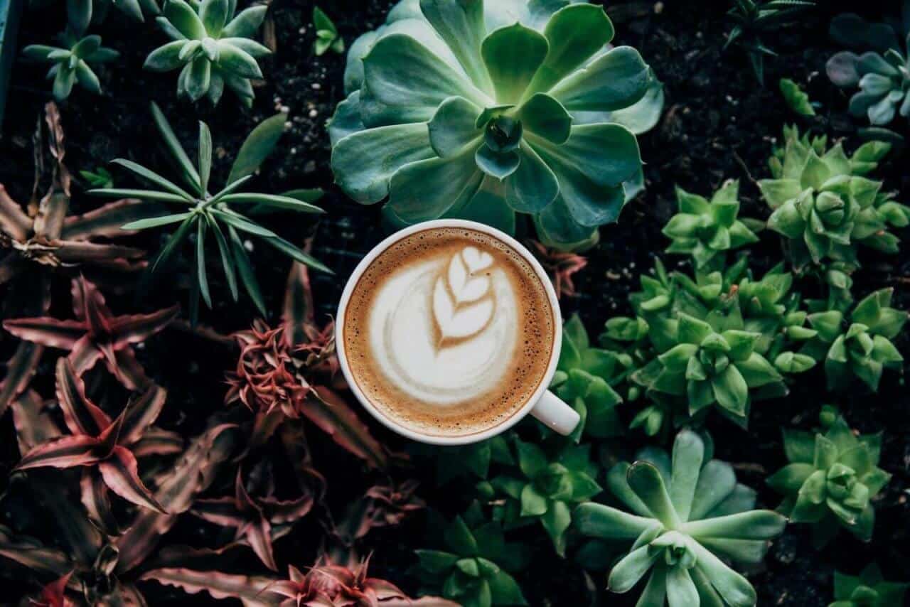 Café de qualité en entreprise pour vos collaborateurs, frais, et écologique