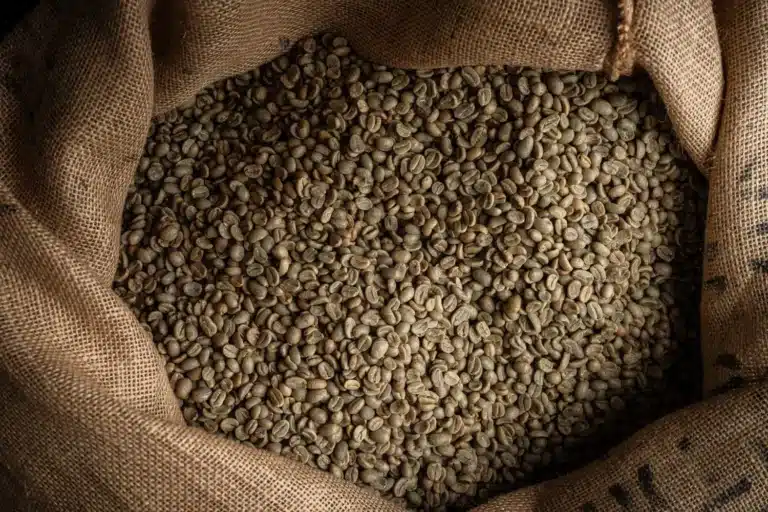 Sac de café vert ouvert